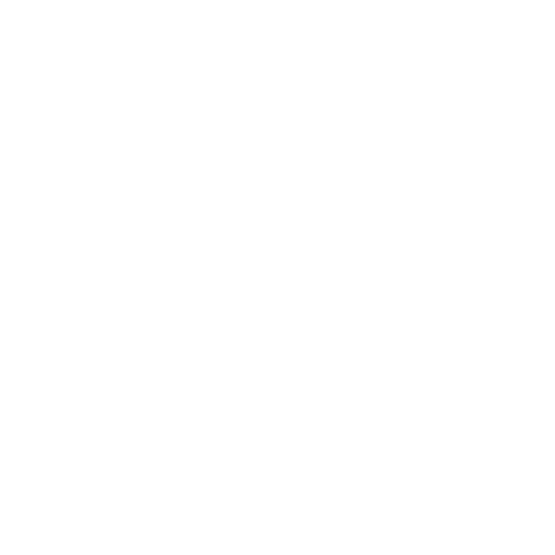 Tempus Logo